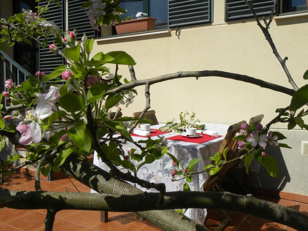 El Jardin De Los Gatos Apartament Caces Εξωτερικό φωτογραφία