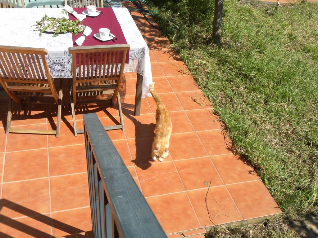 El Jardin De Los Gatos Apartament Caces Εξωτερικό φωτογραφία